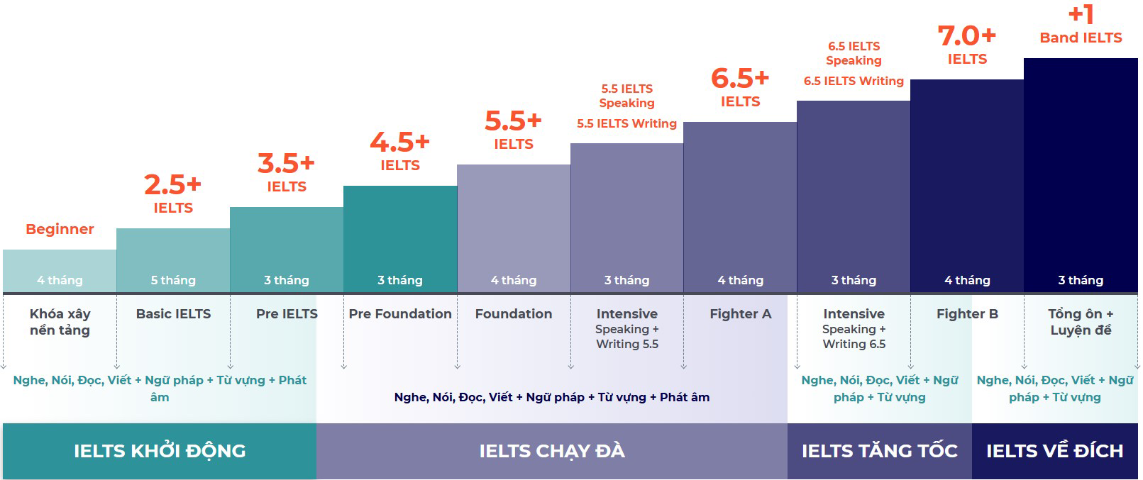 lo trinh ielts chuan